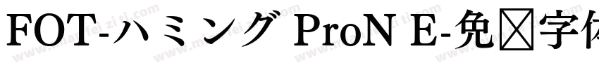FOT-ハミング ProN E字体转换